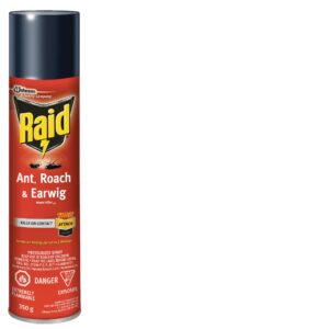 Raid Ant Roach & Earwig Insect Killer