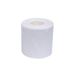 Globe 2-Ply Toilet Tissue 48 x 500 sht
